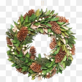 Mistletoe Png Image Hd - Portable Network Graphics, Transparent Png - mistletoe png