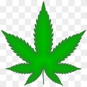 Thumb Image - Marijuana Leaf, HD Png Download - marijuana leaf png