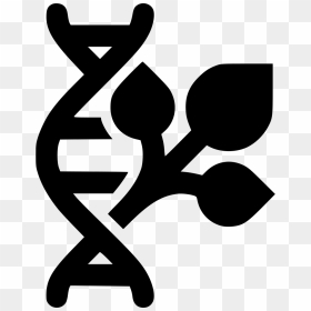 Plant Dna Gmo - Gmo Clipart Png, Transparent Png - dna png