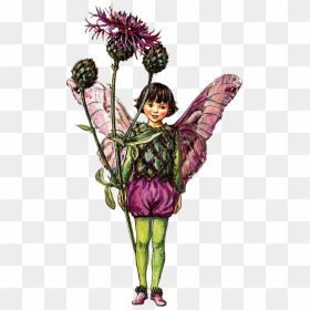 1 Images - Flower Fairies Cross Stitch Kits, HD Png Download - fairy png