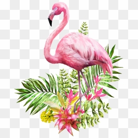 Flamingo Png Transparent Standing In Flowers And Grass - Transparent Background Flamingo Png, Png Download - flamingo png