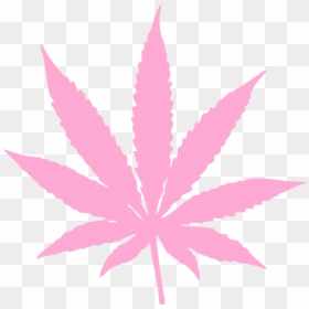 Weed Plant Vector - Orange Marijuana Leaf, HD Png Download - marijuana leaf png