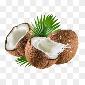 Coconut Oil De Water Coco Nata Milk Clipart, HD Png Download - coconut png