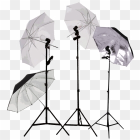 Umbrellas - Transparent Studio Lights Png, Png Download - umbrella png