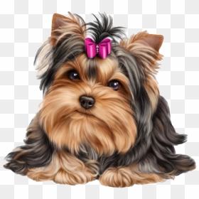 Cute Yorkshire Terrier Dog - Yorkie Png, Transparent Png - cute png