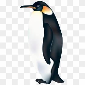 Penguin Png Clip Art - Emperor Penguin Clipart, Transparent Png - penguin png