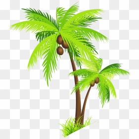 Coconut Tree Png Clipart - Transparent Background Coconut Tree Clipart, Png Download - coconut png