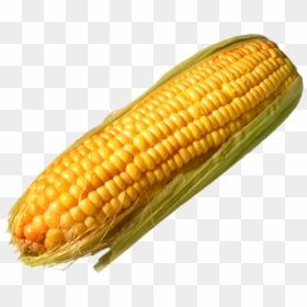 Corn Png Free Download - Corn On The Cob Transparent Background, Png Download - corn png