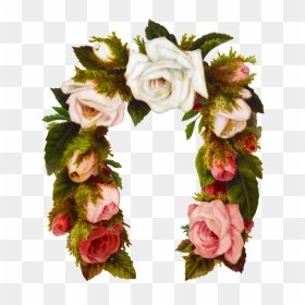 Rose Flower Frame Horse Shoe Shaped - Rose, HD Png Download - flower border png