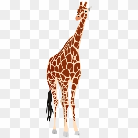 Leg Clipart Giraffe - Giraffe Vector, HD Png Download - giraffe png