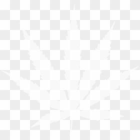Weed Mlg, HD Png Download - marijuana leaf png