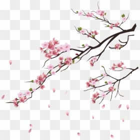 Falling Flowers, Petal Png Image Free Download Searchpng - Cherry Blossom Tree Png, Transparent Png - rose petals png