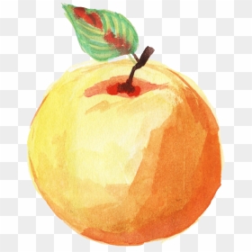 Watercolor Orange Fruit Png , Png Download - Watercolor Fruit Transparent Background, Png Download - fruit png