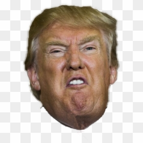 Donald Trump Head Cut Out, HD Png Download - trump head png