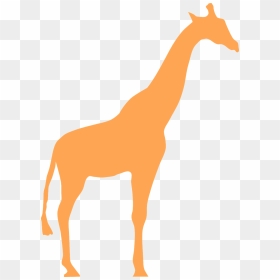 Transparent Giraffe Silhouette Png - Orange Giraffe Silhouette, Png Download - giraffe png
