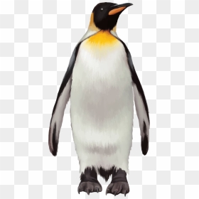 Penguin Transparent Background Png - Penguin Png, Png Download - penguin png