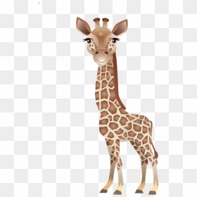 Clip Art Leopard About Giraffes Northern - Baby Giraffe Png, Transparent Png - giraffe png