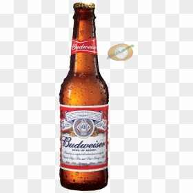 Budweiser Beer Bottle Png , Png Download - Budweiser Beer, Transparent Png - beer bottle png