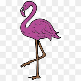 Greater Flamingo, HD Png Download - flamingo png