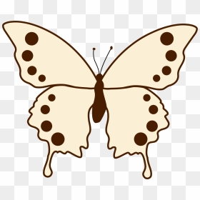 Papilio, HD Png Download - butterflies png