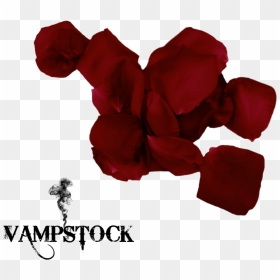 Red Black Rose Petals Png , Png Download - Black Rose Petals Png, Transparent Png - rose petals png