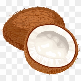 Free Download Of Coconut Png Icon - Coconut Clipart, Transparent Png - coconut png