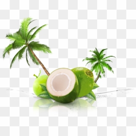 Coconut Png, Transparent Png - coconut png