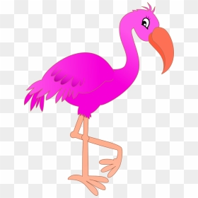 Free Flamingo Clipart, HD Png Download - flamingo png