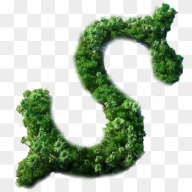Moss, HD Png Download - dollar png