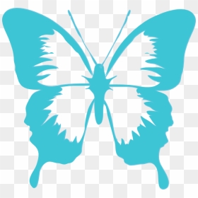 Free Butterfly Graphics Images Png Image Clipart - Butterfly Clip Art, Transparent Png - butterflies png