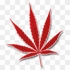 O"cannabiz Top Marijuana Trade Show Awards And Expo - Ocannabiz Logo, HD Png Download - weed leaf png