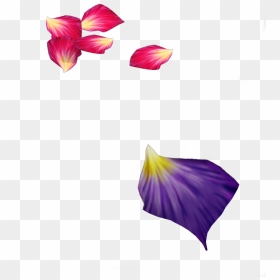 Purple Flower Petal Png, Transparent Png - 2 Rose Petals Png, Png Download - rose petals png
