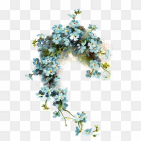 Forget Me Knot Png, Transparent Png - png flowers