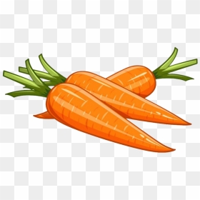 Vector Carrot Png Picture - Transparent Background Carrots Clipart, Png Download - carrot png