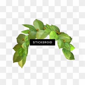Snapchat Filter Green Crown - Flower Crown Png Green, Transparent Png - snapchat logo png transparent background