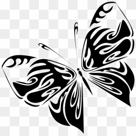 Black Butterfly Drawing Png - Brush-footed Butterfly, Transparent Png - butterflies png