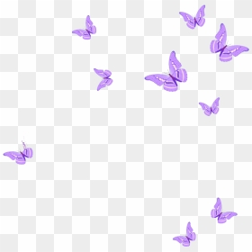 Pink Butterflies Png , Png Download - Cute Pink Butterfly Transparent Background, Png Download - butterflies png
