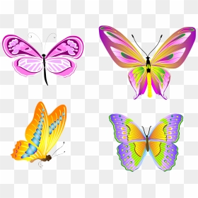 Transparent Butterflies Set Png Clipart, Png Download - butterflies png