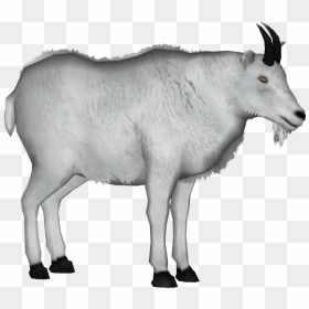 Mountain Goat Clipart Transparent Background, HD Png Download - goat png