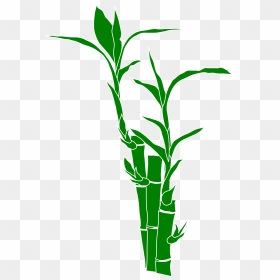Download And Use Bamboo Png Clipart - Bamboo Vector Png, Transparent Png - bamboo png
