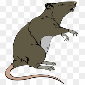 Thumb Image - Rat Clip Art, HD Png Download - rat png