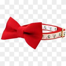 Red Bow Tie Png No Background - Bow Tie, Transparent Png - bow tie png