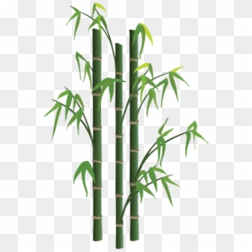 Bamboo Png Transparent Images - Bamboo Tree Free Hd, Png Download - bamboo png