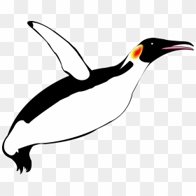 Penguin Flying Clip Art, HD Png Download - penguin png
