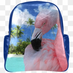 Transparent Pink Flamingo Png - Greater Flamingo, Png Download - flamingo png