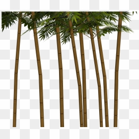 Bamboo Plant Wellness Png Image - Transparent Bamboo Tree Png, Png Download - bamboo png