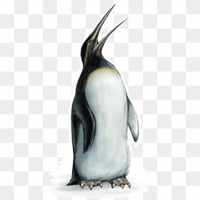 Emperor Penguin , Png Download - Emperor Penguin, Transparent Png - penguin png