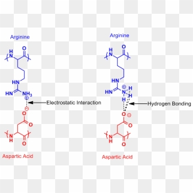 Arginine Aspartic Acid Salt Bridge - Arginine And Aspartic Acid, HD Png Download - bridge png