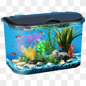 Aquarium Fish Tank Png Download Image - Fish Tank, Transparent Png - tank png