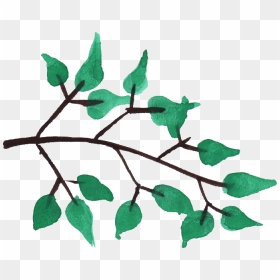 Watercolor Branch Png - Transparent Background Tree Branch, Png Download - branch png
